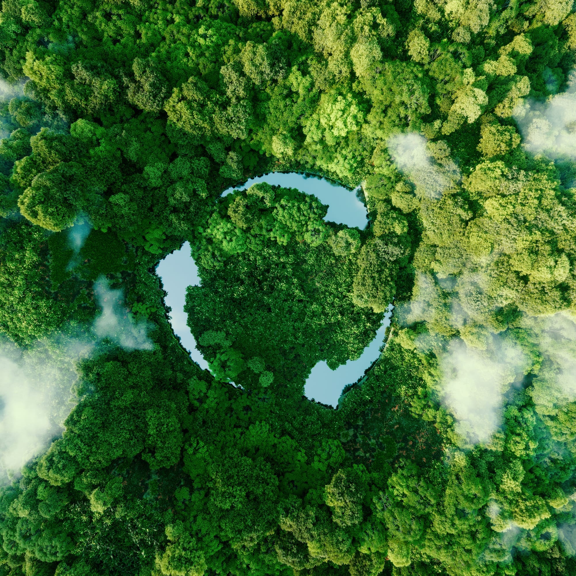 Un simbolo di riciclaggio sullo sfondo di una foresta.